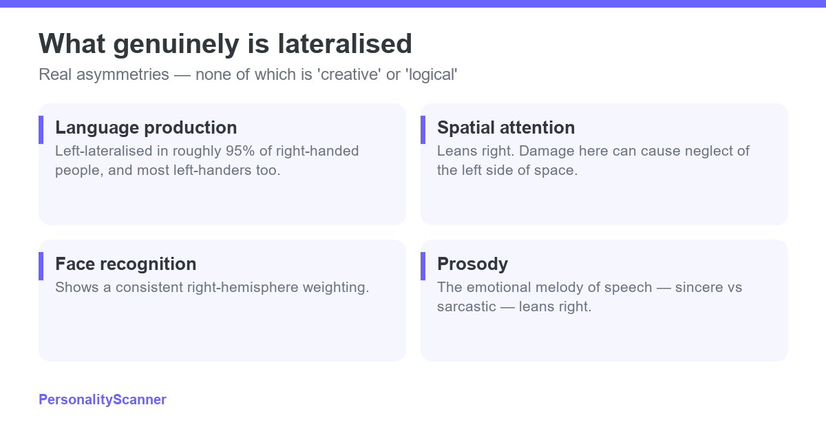 Four cards showing brain functions that genuinely are lateralised: language production, spatial attention, face recognition and prosody.