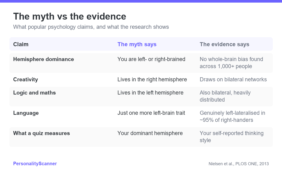 Comparison table showing what the left-brain right-brain myth claims versus what neuroscience evidence actually shows for hemisphere dominance, creativity, logic and language.